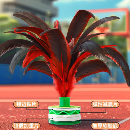 Shuttlecock for children and primary school students. Adult large chicken feather resistant to kicking tendons. Feather shuttlecock competition jumping key. Feather shuttlecock - 3 pieces.