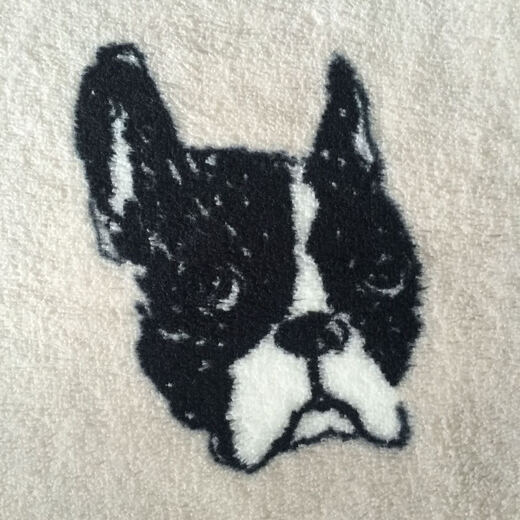 Fantasy Fashionable Cute Farai Velvet Blanket Casual Blanket Baby Cover Blanket Office Knee Blanket Others Brown and red edges are randomly sent and the actual product is lighter_70cmX100c