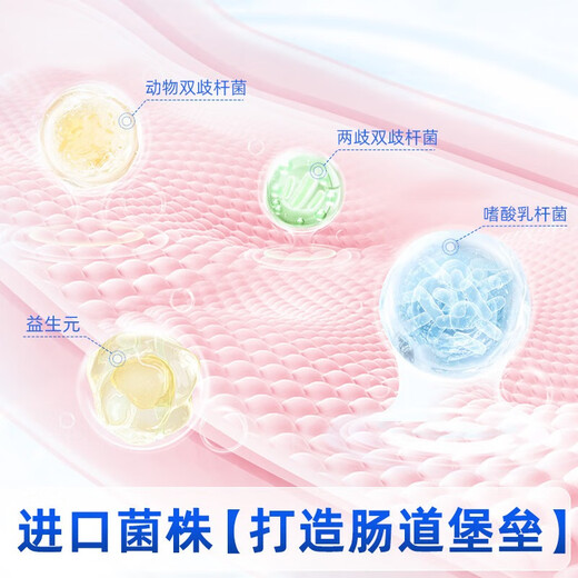 VETWISH High Calcium Goat Milk Powder for Dogs 400g*3