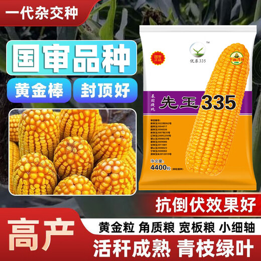 Xianyu 335 corn seeds, disease-resistant and lodging-resistant, red-shaft big stick, Academy of Agricultural Sciences seeds, north-south seeds, original and authentic, Xianyu 335, 4400 pieces, one bag