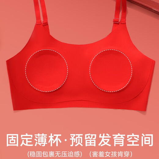 Cat Man's Year of the Pig Underwear Set for Female Students Junior High School and High School Girls Developmental Vest Girls Bra Big Red Panties Wide Shoulder Straps-Chinese Red Suit 160 (L) Recommended weight 80-95Jin Jin is equal to 0.5 kg