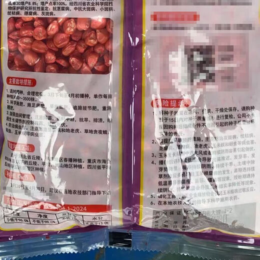 Authentic and original Kangnong Jade 517 high-yielding hybrid corn seed white-shaft big horse-shaped corn seed stick original factory original fake one will pay ten white shaft big stick original No. 517 one kilogram