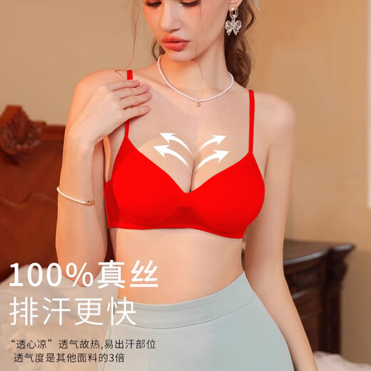 Miss Polly Mulberry Silk Big Red Underwear Set Zodiac Year Underwear Silk Women 2026 Year of the Horse New Year Gift for Girls 6. Zodiac Year Underwear Set 2 Sets + Scarf + 4 Pairs of Horse Year Socks (With Gift Box Gift Bag) S Recommendation 32/70AB