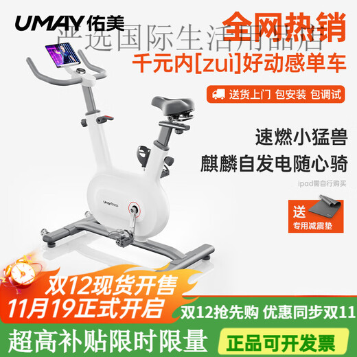 YOU MEI Spinning Bike Home Intelligent Ultra-Quiet Indoor Bike Fitness Home Sports Equipment High-Performance Version - Installation Included - RS Quick Burn - Whole