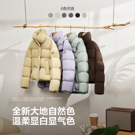 Bosideng 2025 Winter Fashion Casual Soft Comfortable Thick Feather Removable Hood Down Jacket B250245296
