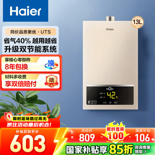 Haier gas water heater natural gas household constant temperature forced exhaust type energy-saving gas-saving instant hot bath intelligent variable frequency fan patented anti-freeze door-to-door delivery and installation consultation surprise 13L UTS ECO energy saving