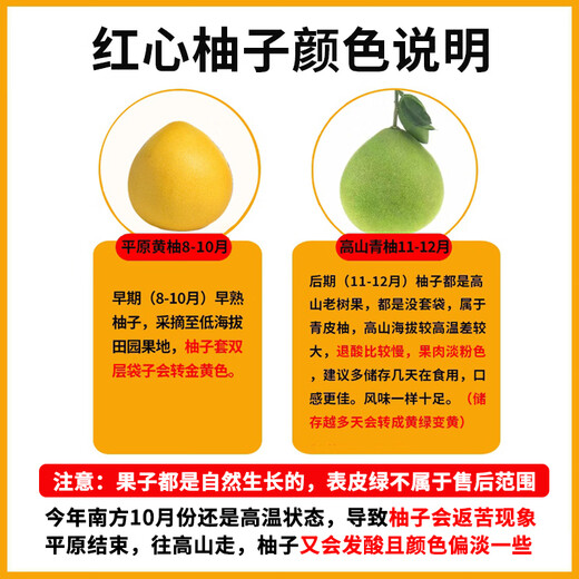Jingxiansheng Fujian Guanxi Red Heart Honey Pomelo 2 pieces, net weight 4-4.5Jin Jin is equal to 0.5kg, fruit gift box, straight from the source