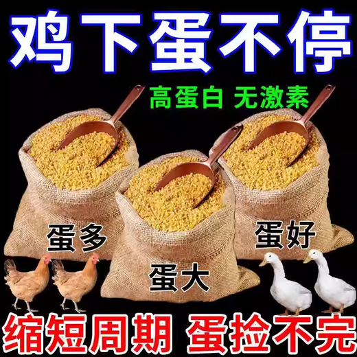 Egg-increasing special egg-laying medicine for chickens, ducks, geese and poultry, special egg-laying medicine for quails, pigeons and chickens. Large quantity and special price of 20 bottles. Necessary for breeding.