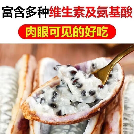 August melon, August fried seeds, new dietary fiber seeds, four-season climbing vines, balcony potted edible fruit seeds, August melon seeds/pack, about 20 capsules, 3 packs