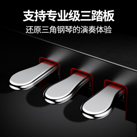 Terence electric piano 88-key hammer piano portable smart electronic piano for home adult BX05 BX05 hammer electric piano