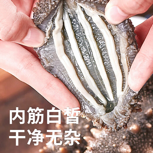 即食底播零添加刺参，固形物80%/滋补500g/8-20头/单装更方便 8-12头/斤 500g不买会亏