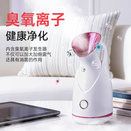 Facial Steamer, Konka Golden Rice Flat Nano Spray, Facial Deep Skin Hydrating Humidifier, Facial Detoxification Fumigation Device, Christmas Gift for Girls, Popular Choice - Thermal Water Ion Large Spray