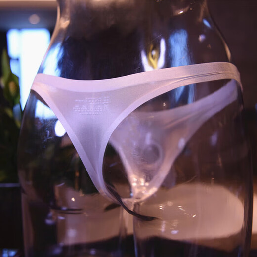 Universal airplane cup underwear for work, men's underwear for sexy masturbation, special penis thong for L tube, men's black, ice silk JJ closed (with JJ cover) 80120Jin Jin is equal to 0.5 kg