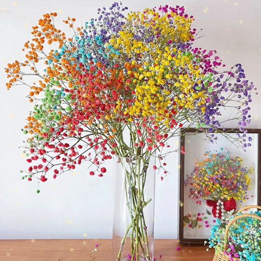 Colorful baby's breath, random color primary color, mixed color, fresh cut flowers, can be used as dried flower base, straight hair, long flowering period, purple baby's breath 100g