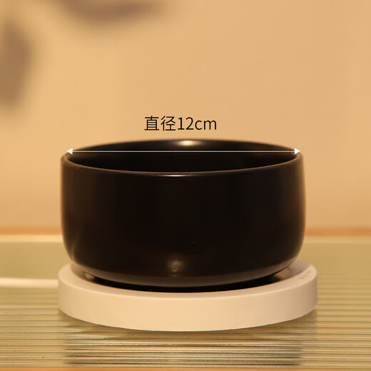 WCZ德国恒温猫咪饮水机酸奶机冬季加热罐头喝水碗陶瓷保温喂水饮水 釉黑350ml陶瓷碗+2档恒温垫