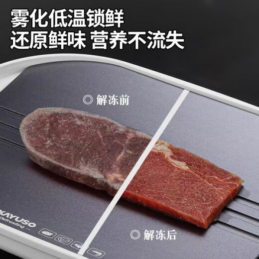 QCSK German Intelligent Extremely Fast Freshness Defroster Home Kitchen Ingredients Quickly Frozen Seafood Removal of Fishy and Fast Thawing Artifact 2025 New Upgrade - Rapid Thawing and Freshness