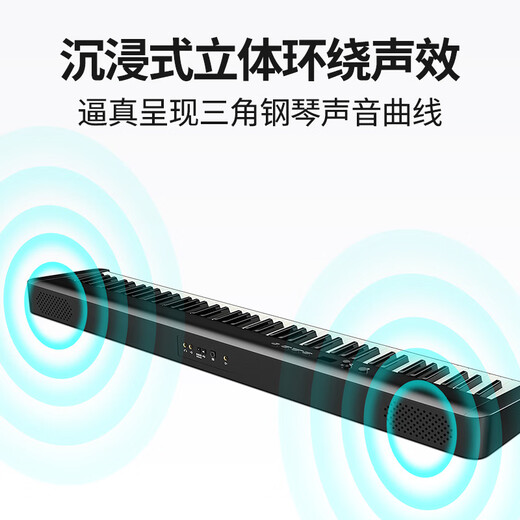 Terence electric piano 88-key hammer piano portable smart electronic piano for home adult BX05 BX05 hammer electric piano