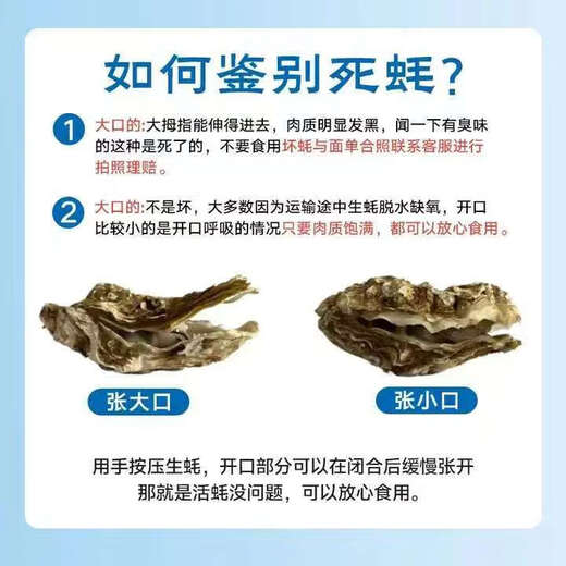 Fresh Rushan oysters, fresh and authentic Rushan oysters, 5 Jin Jin equals 0.5 kg box/10 Jin Jin equals 0.5 kg box 4XL large oysters (17-28 pieces per box) with box 10 Jin Jin equals 0.5 kg