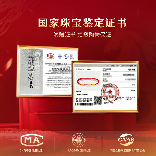 ALLOVE Year of the Horse, Zodiac Year, Red Rope, Women's Silver Bracelet, Transfer Bead Anklet, New Year's Day, Valentine's Day Gift for Girlfriend's Birthday