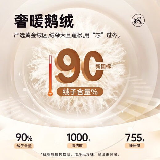 Septwolves Gänsedaunen-Graphen-Daunenjacke, Winter, Stehkragen, warme Herren-Pendler-Dickjacke, Schwarz, L