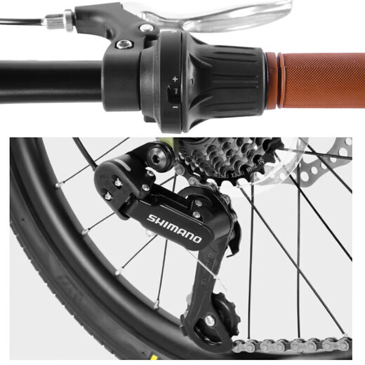 Permanent soft-tail shock absorber folding bicycle 7-speed 20-inch men's and women's adult student urban road bicycle green