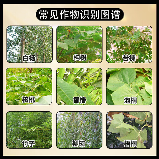 Cyclazinone herbicide Cyclazinone herbicide genuine wholesale cutting weeds and root rotten roots uprooting rotten pesticides land reclamation 5% Cyclazinone 500g*3 bags directly spread