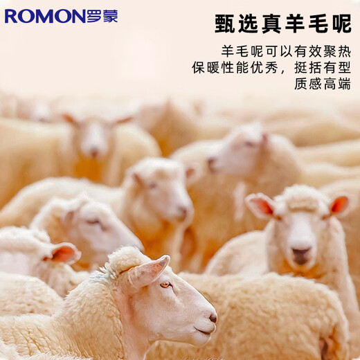 Romon baseball cap autumn and winter wool hat men's duck tongue thickened warm and windproof gift for the elderly and father