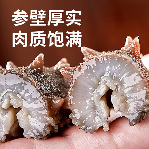 即食底播零添加刺参，固形物80%/滋补500g/8-20头/单装更方便 8-12头/斤 500g不买会亏