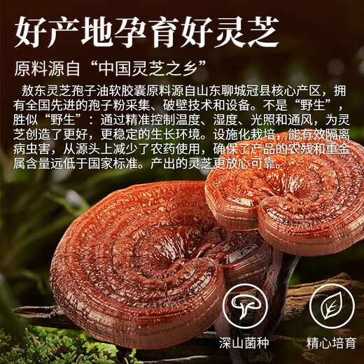 Aodong Ganoderma Spore Oil Soft Capsules 30g*3 Bottles Spore Powder Essence Nourishing Nutritional Health Products Gift for Middle-aged and Elderly People