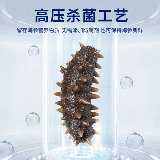 即食底播零添加刺参，固形物80%/滋补500g/8-20头/单装更方便 8-12头/斤 500g不买会亏