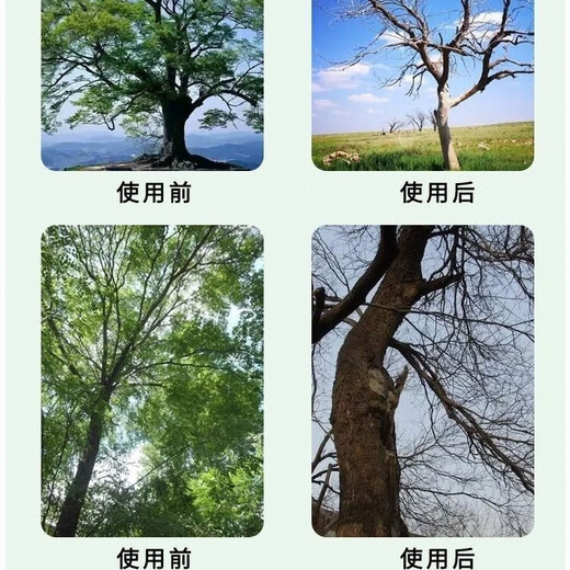 High-concentration for banyan trees in all seasons, for agricultural use on large and small trees, fast and powerful without harming the soil, 3 bottles, saving time and effort