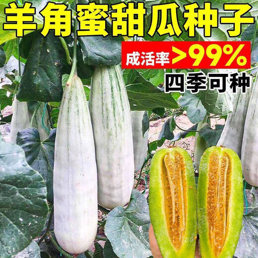 Croissant Melon Seeds, High Yield, Super Sweet Thin Skin Croissant Seeds, Balcony Flower Potted Fruit and Vegetable Seeds, Croissant Seeds, 2 packs of about 200 seeds