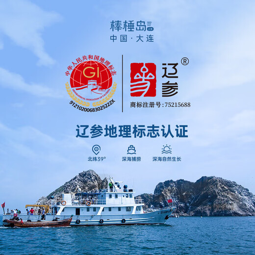 Bangchui Island Dalian Frozen Sea Cucumber 1 Jin Jin is equal to 0.5 kg 10-12 pieces Solids 85% No-soak Sea Cucumbers Not Ready to Eat Bagged