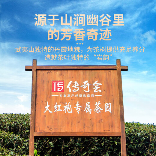 传奇会乌龙茶 武夷岩茶 肉桂 特级500g 中火礼盒装大红袍茶叶送礼礼品