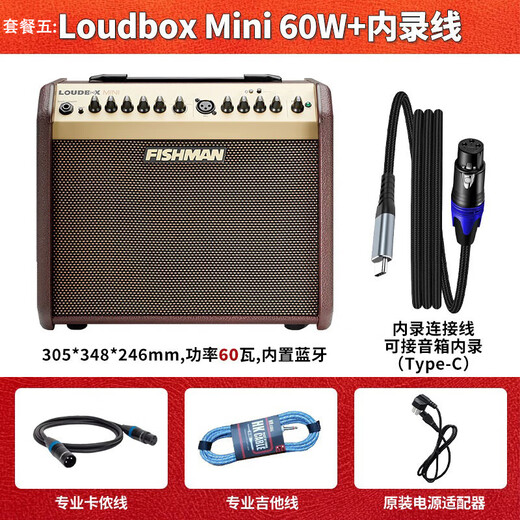 FISHMAN Fisherman Singing Speaker Loudbox Acoustic Guitar Outdoor Singing Roadshow Electric Blowpipe Live Acoustic Instrument Speaker 60w (mini) Official Standard