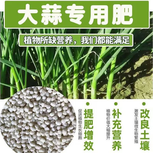 New type of special fertilizer for strong growth of garlic. Resist disease and lodging, promote strong roots and strong seedlings. Prevent dry tips and yellow leaves. Prevent disease and green leaves to promote growth. Special fertilizer for garlic. 5Jin Jin is equal to 0.5 kg.