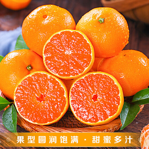 京地达浙江临海涌泉蜜桔新鲜水果橘子桔子重9.2斤单果65mm源头直发包邮
