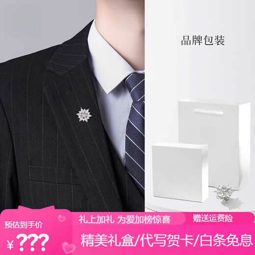 Shijun (SHIJUN) 2025 new brooch, high-end men's suit, light luxury design, niche crystal zirconium crystal zircon hexagram brooch