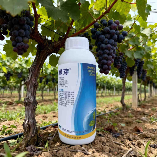 Taihui Li Cuiyang 50% monocyanamide ammonia grape peach and kiwi fruit tree bud-breaking sleep-inducing agent monohydroammonium growth regulator 1000ml*1 bottle Production date September 25 Shelf life 2 years