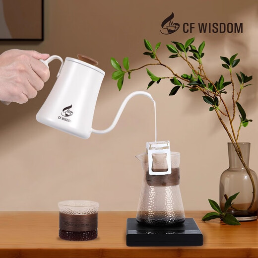 High-end hand-brewed coffee pot, food-grade home outdoor, light luxury, hanging ear-hung hand-brewed kettle, slim mouth, long mouth, high-looking kettle, matte black 600ml