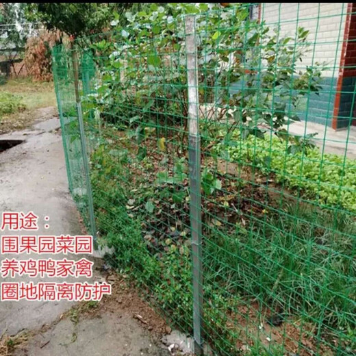 Plastic coated wire mesh, steel wire mesh fence net, guardrail net, anti-rat breeding net, fish pond orchard enclosure net, rust-proof, 1.5 meters high, 6 cm holes, 30 meters long, hardened version