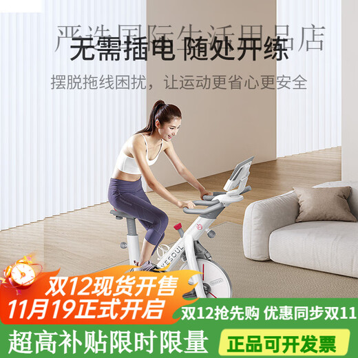 YESOUL Intelligent Spinning Bike Home Sports Fitness Equipment Indoor Exercise Bike Silent S1 Black Model Standard Edition