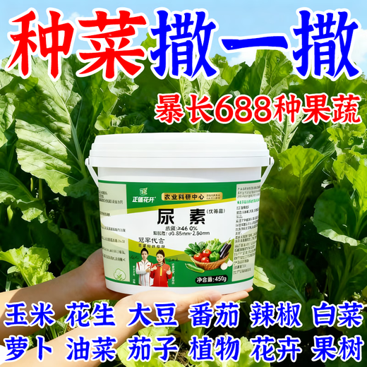 正值花开【正规原包】小颗粒尿素肥料蔬菜氮肥花卉种菜肥果蔬植物盆栽通用 颗粒尿素2桶【原包装发货/假一赔十】