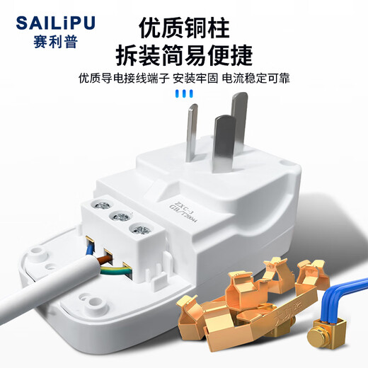 SAILiPU leakage protection plug, electric water heater anti-shock protector, conversion anti-leakage conversion socket thickened plug, 10A wiring type, power 2200W