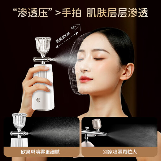 Ou Quanlin water-light high-pressure oxygen injection meter nano spray water replenishment meter household water replenisher portable handheld water oxygen meter introduction device