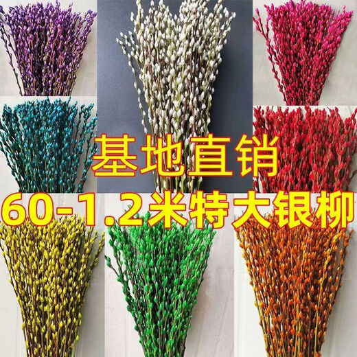 Silver willow real flowers, fresh branches, New Year's Eve flowers, red dried flowers, lucky bucket, silver willow, hydroponic plants, flowers, living room interior decoration, high-quality A-grade silver willow festive red 60 cm, 30 pieces + 2 small lanterns