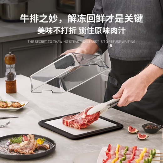 QCSK German Intelligent Extremely Fast Freshness Defroster Home Kitchen Ingredients Quickly Frozen Seafood Removal of Fishy and Fast Thawing Artifact 2025 New Upgrade - Rapid Thawing and Freshness