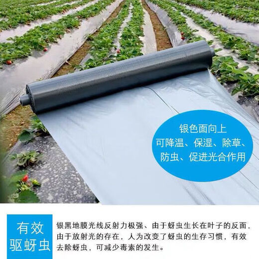 Silver and black two-color mulch film, thickened waterproof white film and black film, reflective mulch film covering weeding and moisturizing plastic film for agricultural use 10Jin Jin equals 0.5 kg 1.2 silk silver and black mulch film 0.6 meters wide