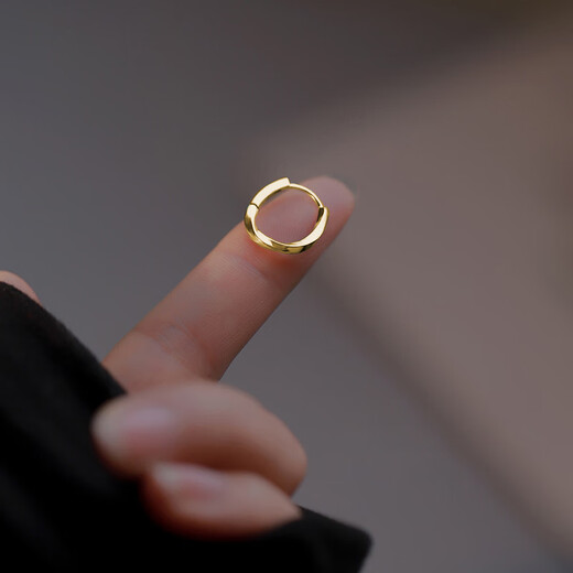 Ubis Ring Plain Hoop Earrings Women's Simple Cold Style Personalized Earrings Earrings 2024 New Earrings Silver Pair