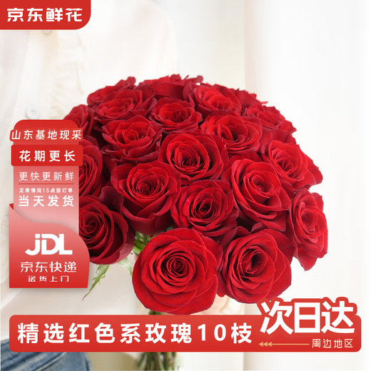 Jingdong Flowers Roses Red Roses 10 Ruyi Base Fresh-cut Flowers Water-raised Flower Arrangements Life Bouquets Gifts Straight from the Source